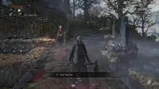 DesolatiionAngel's Bloodborne