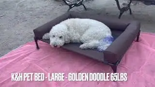 Super Quick Dog Bed For Camping - Compact Setup