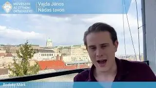 Vajda János: Nádas tavon