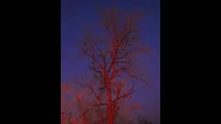 (FREE) Ecco2k x Bladee x Gud Type Beat - Never Again