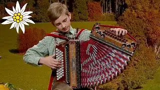 Schrainbach Landler | Patrick Mandl (Steirischer Harmonikawettbewerb 2019)