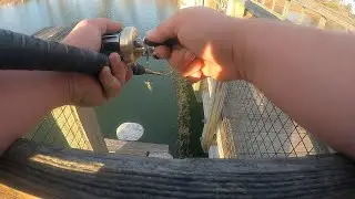 Public Pond Swimbait Bass Fishing - Myrtle Beach Cast2Catch