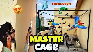 How To Make Master Cage?😍 | Baithak Cage Work Started 
