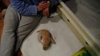 Bio-Sensor Exercises
