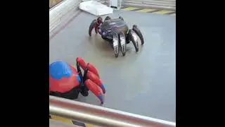 Web Slingers Battle Spider Bots with Black Panther Tactical Upgrade