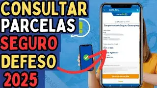 CONSULTAR PARCELAS SEGURO DEFESO 2025