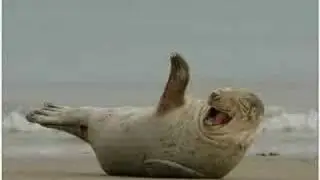 Thriller End laughter