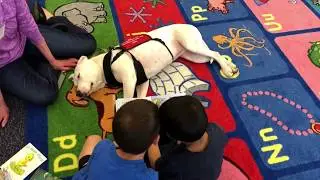Shadowlee Canine Reading Program with East Bradford Elementary