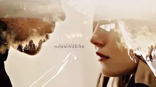 Multicouple • Hummingbird