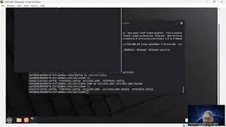 Tutorial Alert ICMP dan TCP Telnet dengan tools SURICATA pada VM OS LINUX MINT