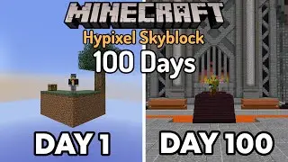 I Spent 100 Days in Hypixel Skyblock... Here's What Happened