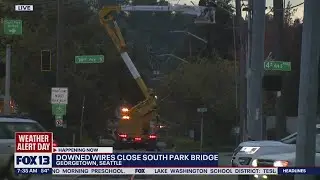 Downed wires close South Park Bridge