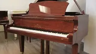 Ореховый рояль Seiler Maestro 186 Зайлер Маэстро