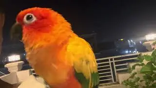 Julie visits the roof with her mommy. 