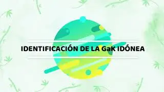 Resumen de la norma NEC-SE-GUADUA