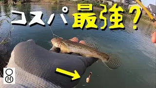 ハゼ釣りにコスパ最強のエサかも？