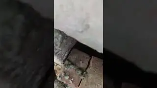 custom concrete