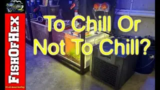 Added A Chiller To My Fish Room | JBJ Arctica 1/3 HP