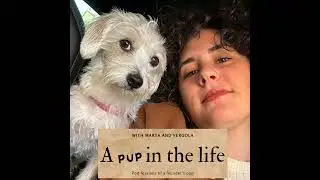 Adult pacifiers and how to stop them - A Pup In The Life ep. 172