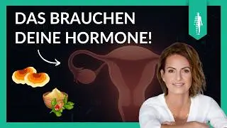 Adaptogene: Nat&uuml;rliche Balance f&uuml;r Deine Hormone! | Cortisol & &Ouml;strogen