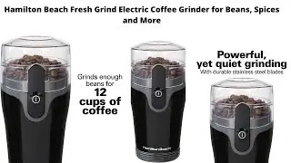Hamilton Beach Fresh Grind Electric Coffee Grinder for Beans, Spices and More