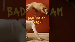 BAD DREAM HACK 👻 #Shorts #Baddream #Scarydream #Dream #Sleephack #CuriosityFacts