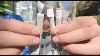 IS THCA WORTH IT??? (VALLEYHEMP)