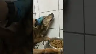 Емелька 🥰