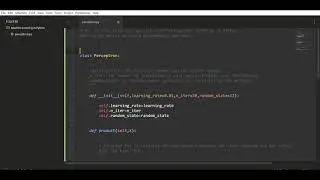 Perceptron Algorithm Implementation in Python from scratch