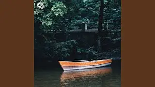 Rainy Woodland Night