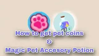 How to get Lots of Pet Coins and Magic Pet Accessory Potion | Play Together game