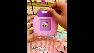 flash card device