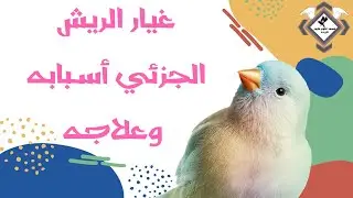 غيار الريش الجزئي اسبابه وعلاجه