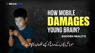 How Mobile Screens Damage Your Child&rsquo;s Brain  | موبائل کس طرح بچوں کے دماغ کو تباہ کر رہا ہے؟