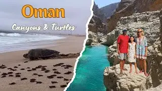 Oman Adventure | Family Overlanding Wadi Hawer Canyon + Turtle Nesting