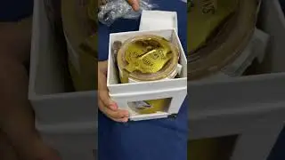 Pride of Cows Ghee opening 🥰 #ghee #desighee #pure #healthy #shortsvideo
