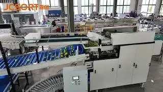 Automatic Frame Flipping, automatic bin dumping, bin dumper