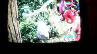 THE FROG ON THE LOG.