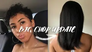 3 YEAR BIG CHOP LENGTH CHECK & UPDATE | HOW I GREW MY HAIR SO FAST | Mo'Beauty