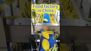 Fruit Factory in China, find buyers&suppliers | Tendata #globaltrade #export #food #fruit #factory
