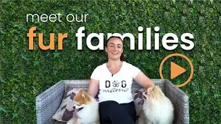 It Saved My Dog's Life