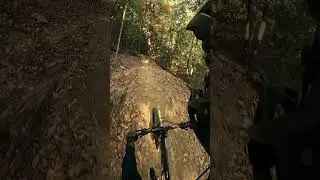 Devou Park, New Dimensions DH trail (leisurely recon ride)