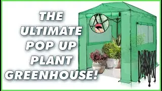 EAGLE PEAK Greenhouse 8x6 Pop-Up Review: Instant Walk-In Setup with Roll-Up Doors & PE Cover!