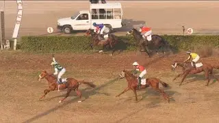 5th Race The Class VII Distance 1100 Meters Winner Little Master ( Pakistan Horse Racing ) Abdullah 