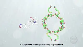 Encapsulation dynamic of neuromuscular blocking drugs by sugammadex