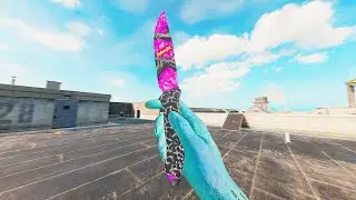 FLAWLESS Claw Movement on Rebirth Island 👑 + Settings