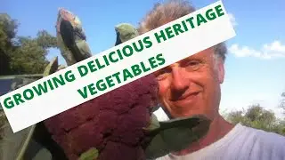 Growing Delicious Heritage Vegetables