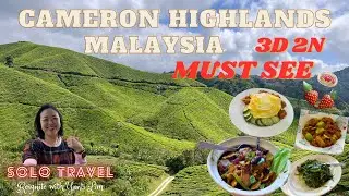 3D2N Cameron Highland. Must See & Visit. Solo Travel @ Reignite with Yanti Lim.