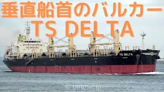 TS DELTA - DALIAN TIGER SHIPPING LIMITED, bulk/lumber carrier