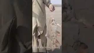 Hook bait rohu fishing|| hook bait works